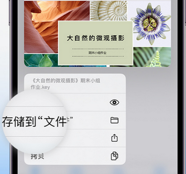 双阳apple维修中心分享iPhone文件应用中存储和找到下载文件