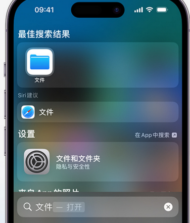 双阳apple维修中心分享iPhone文件应用中存储和找到下载文件 