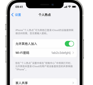 双阳apple服务站点分享iPhone上个人热点丢失了怎么办 