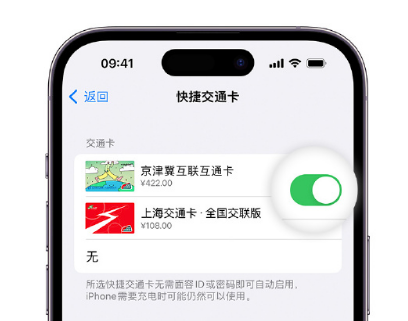 双阳apple维修点分享iPhone上更换Apple Pay快捷交通卡手绘卡面 