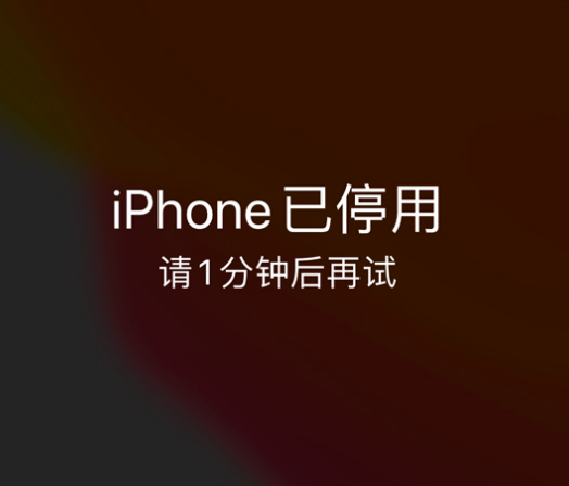 双阳苹果手机维修分享:iPhone 显示“不可用”或“已停用”怎么办？还能保留数据吗？ 