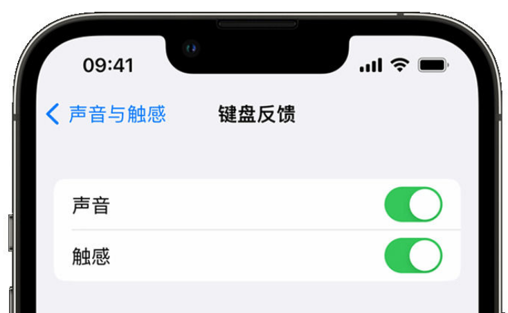 双阳苹果手机维修分享iPhone 14触感键盘使用方法 