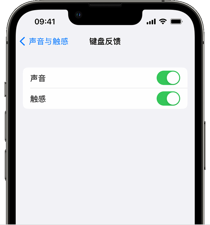 双阳苹果14维修店分享如何在 iPhone 14 机型中使用触感键盘 