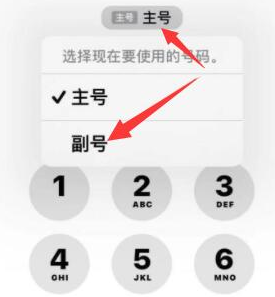 双阳苹果14维修店分享iPhone 14 Pro Max使用副卡打电话的方法 