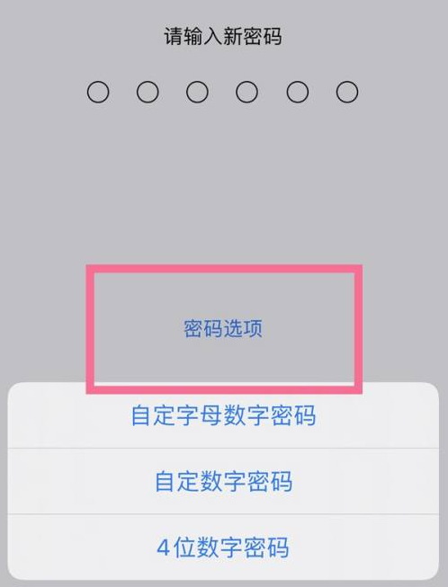 双阳苹果14维修分享iPhone 14plus设置密码的方法 