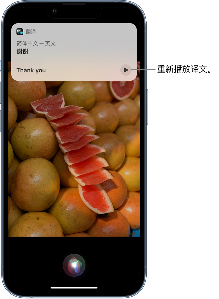 双阳苹果14维修分享 iPhone 14 机型中使用 Siri：了解 Siri 能帮你做什么 