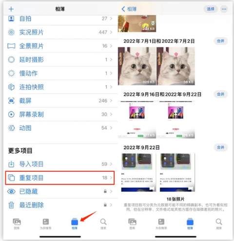 双阳苹果手机维修分享iOS 16 中相册重复项目功能使用方法 