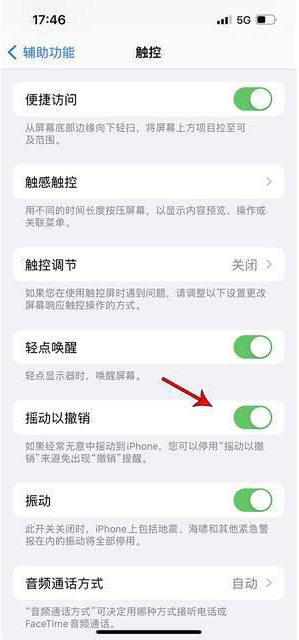 双阳苹果手机维修分享iPhone手机如何设置摇一摇删除文字 