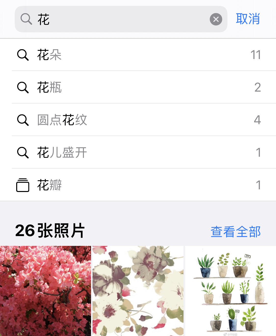 双阳苹果手机维修分享iPhone 小技巧 