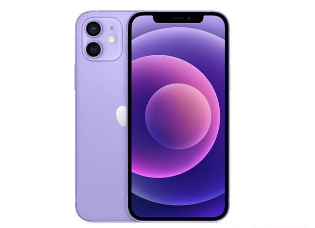 双阳苹果手机维修分享现阶段要不要入手紫色版iPhone12 