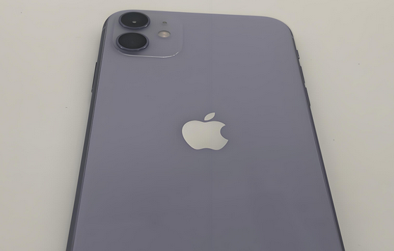 双阳苹果11系统维修分享iPhone11手机系统崩溃无法开机如何解决