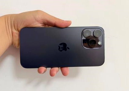 双阳苹果维修点分享iPhone 14 Pro Max黑屏少见故障盘点 